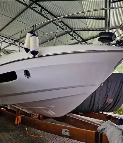 Sessa C36 2018